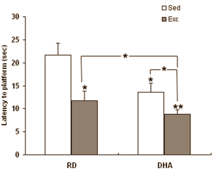 Combination of physical exercise and fish oil makes you cleverer