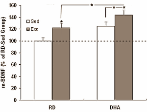 Combination of physical exercise and fish oil makes you cleverer