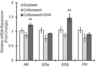 How omega-3 fatty acids protect your brain