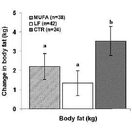 'Healthy fat' diet keeps those lost pounds off