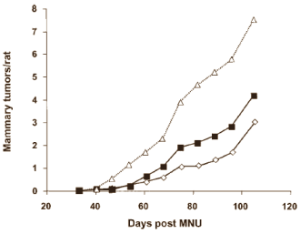 Anti-cancer supplements need plant-based proteins to be effective