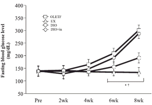 Dioscorea esculenta increases the concentration of DHT in muscles