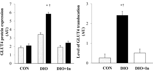 Diosgenin, the plant steroid in Smilax and Yam