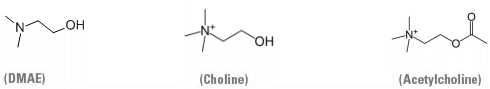 Just occasionally it's possible to determine your dreams. Then, you can even manage to fly, just like Superman, you can speak the truth to your boss, become world famous, whatever. By taking dimethylamino-ethanol, or DMAE for short, you can increase the chances of this happening.
