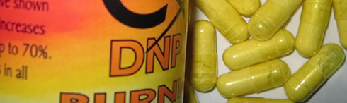 Why antioxidants won't make DNP any less risky