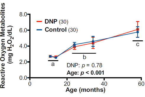 Why antioxidants won't make DNP any less risky