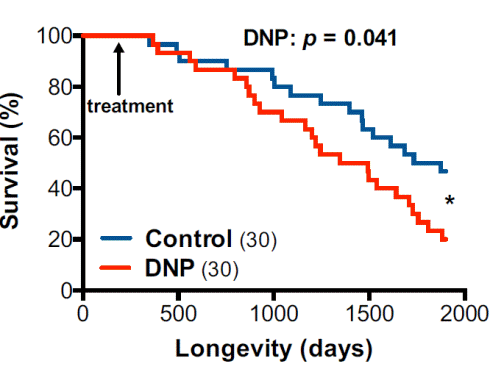Why antioxidants won't make DNP any less risky