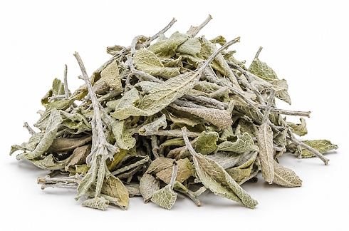 A week ago, we wrote about the positive effects of sage – also known as Salvia officinalis – on the cognitive abilities of people with a mild form of dementia. Sage also improves the functioning of the brains of young people when they have to perform under stress.