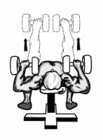 Can you isolate the pecs with the dumbbell press? Not really...