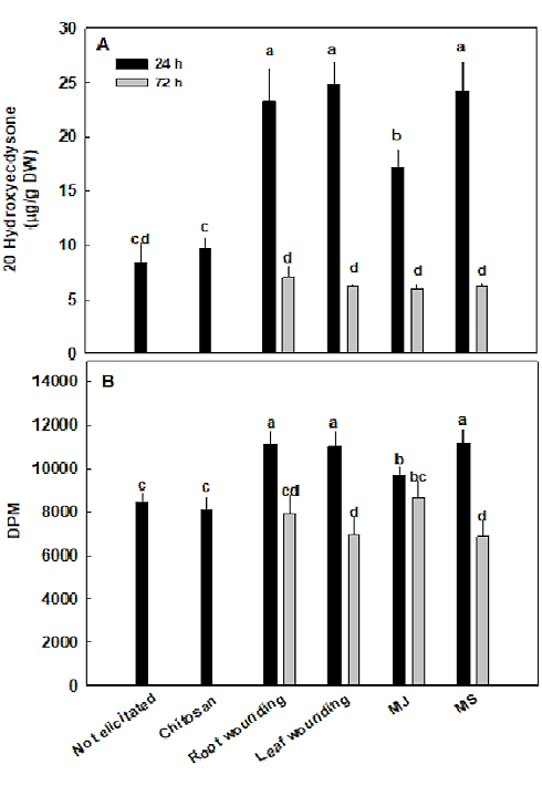 Why organically grown spinach contains more anabolic ecdysteroids