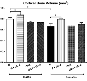 Couple of milligrams ecdysterone daily strengthens bones