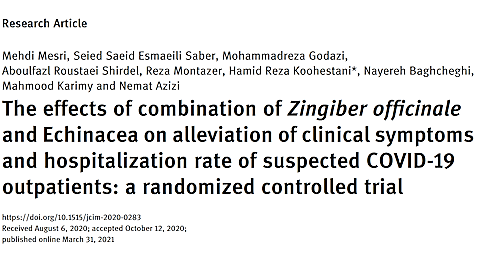 Co-supplementation with ginger + echinacea strengthens regular Covid-19 treatment
