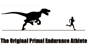 Usually you can't just extrapolate the results of animal studies and apply them to humans, and the same goes for research done by Masanori Mitsuishi on the effect of protein on nutrition and endurance performance. Nevertheless we think it's an interesting study for endurance athletes. According to Mitsuishi, a diet with too much protein leads to a long-term decline in performance in endurance athletes.