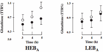 Calorie overdose speeds up muscle breakdown during physical inactivity