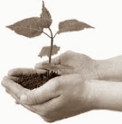 Join Greenpeace and double your chance of good health