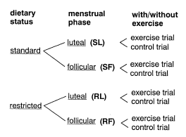 Strict diet reduces post-exercise energy burning