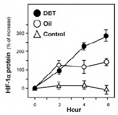 Chinese herbal preparation Danggui Buxue Tang boosts EPO