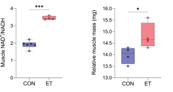 Ergothioneine is a longevity supplement | The role of NAD+