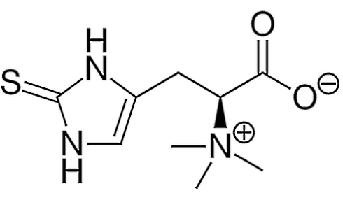 Does a hefty dose of ergothioneine make men more fertile?