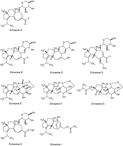 Lion's Mane as a life extender