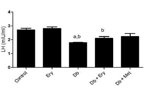Low-cal sweetener erythritol enhances testosterone levels in diabetics | Animal study