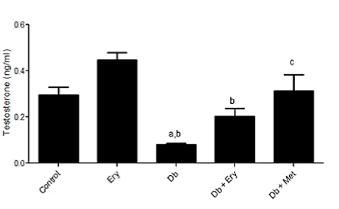 Low-cal sweetener erythritol enhances testosterone levels in diabetics | Animal study