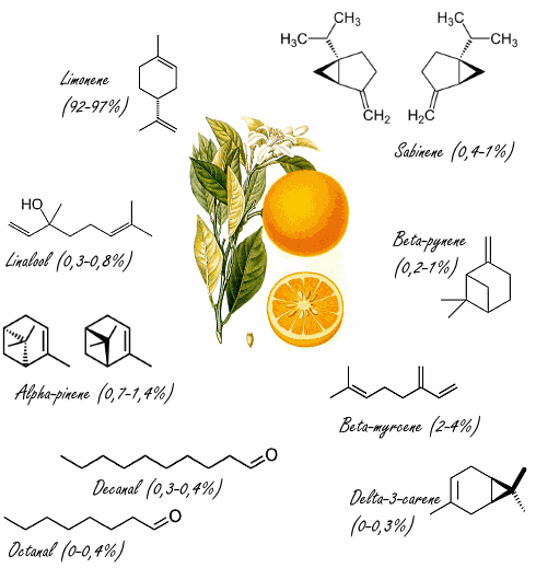 Orange oil aromatherapy may speed recovery from PTSD