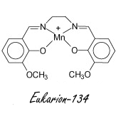 Synthetic superantioxidant Eukarion-134 stops muscle breakdown