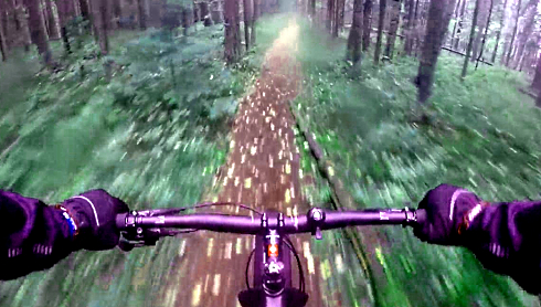 Exercise less tiring in green surroundings