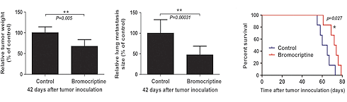 Vigorous exercise is a cancer drug - in the right dose