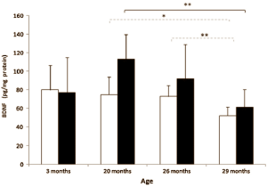 Exercise prevents creakiness and illness in old age