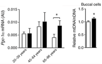 Lazy bones who takes up exercise rejuvenates skin