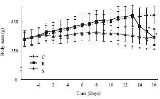 Crash diet damages digestive system, not muscles: animal study