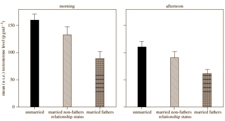 Women with children have less testosterone