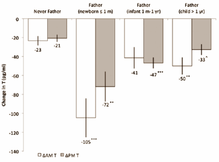 Women with children have less testosterone