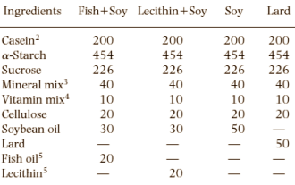 Fish oil helps aging mice live longer