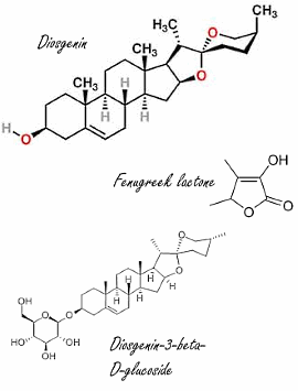 Daily capsule containing Furosap fenugreek extract boosts free testosterone concentration