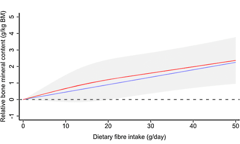 More dietary fiber, more muscle (and less body fat)