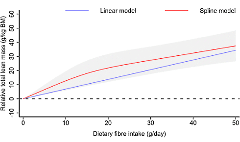 More dietary fiber, more muscle (and less body fat)