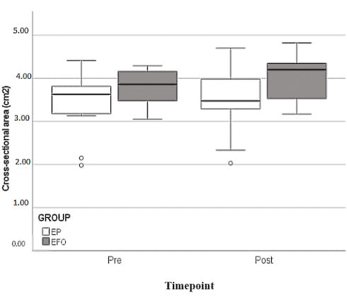 Combination of strength training with fish oil supplementation keeps aging muscles strong