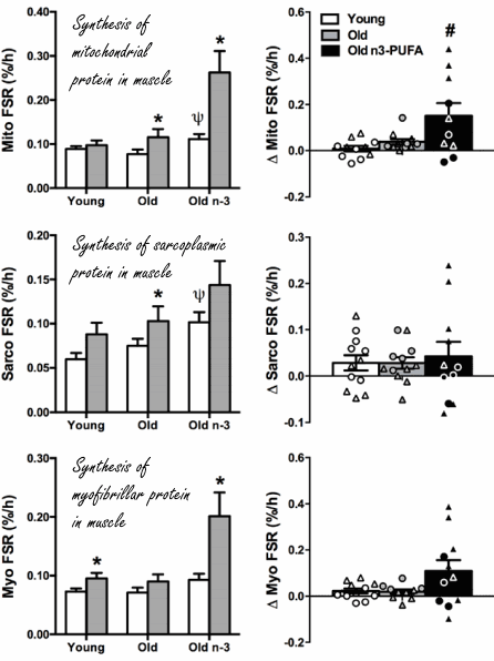 Fish oil helps over 65s' muscles respond better to strength training