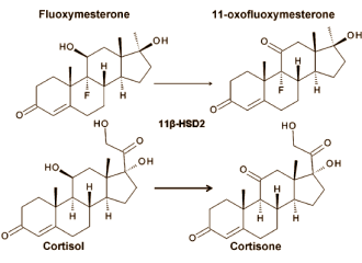 Halotestin is a cortisol booster