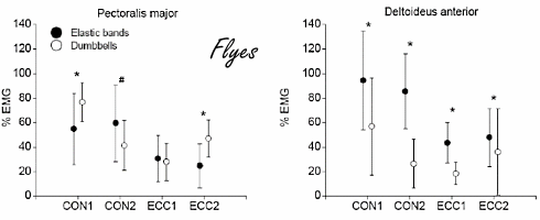 Flyes and reverse flyes: an elastic band instead of dumbbells