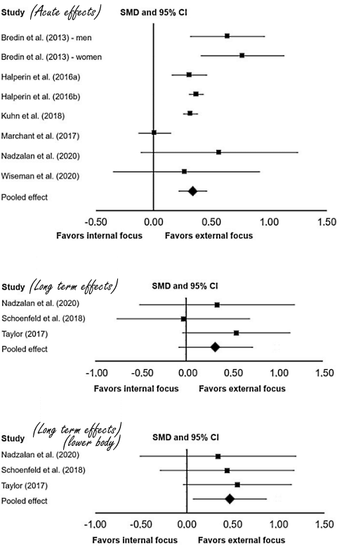 Focus on muscle group during strength training does not result in more strength