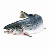 Omega 3 fatty acids reduce cancer mortality