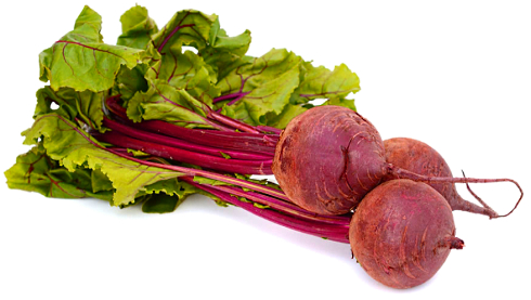 Does it make sense to combine beet root and citrulline?