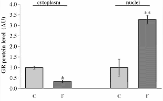 Fructose is a cortisol booster