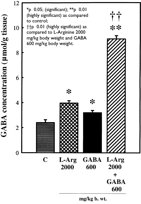 How arginine enhances the effect of GABA