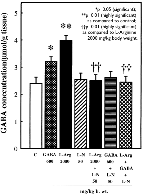 How arginine enhances the effect of GABA