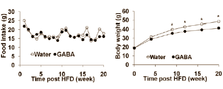 GABA: body fat inhibitor and insulin booster